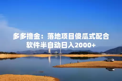 多多撸金：落地项目傻瓜式配合软件半自动日入2000+