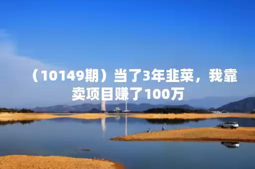 （10149期）当了3年韭菜，我靠卖项目赚了100万