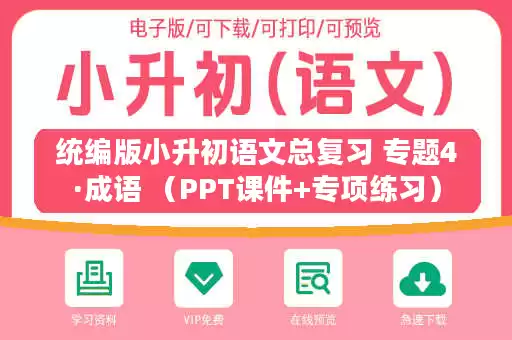 统编版小升初语文总复习 专题4·成语 （PPT课件+专项练习）