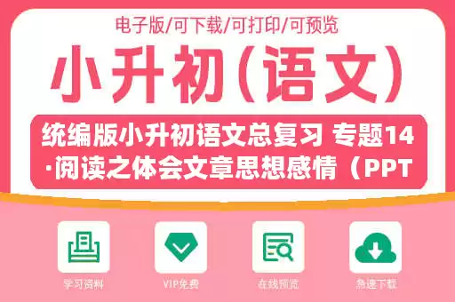 统编版小升初语文总复习 专题14·阅读之体会文章思想感情（PPT课件+专项练习）