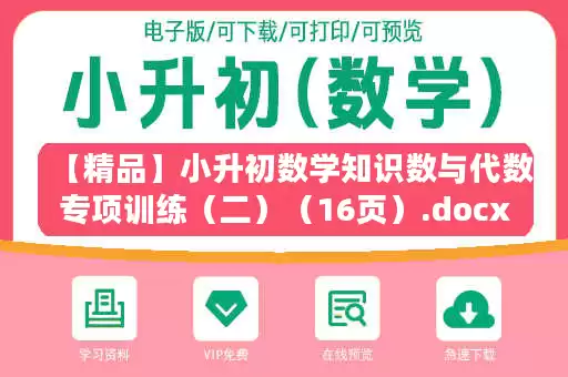 【精品】小升初数学知识数与代数专项训练（二）（16页）.docx